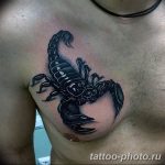 Фото рисунка скорпион 24.11.2018 №048 - photo tattoo scorpion - tattoo-photo.ru