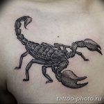 Фото рисунка скорпион 24.11.2018 №051 - photo tattoo scorpion - tattoo-photo.ru