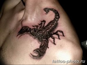 Фото рисунка скорпион 24.11.2018 №052 - photo tattoo scorpion - tattoo-photo.ru