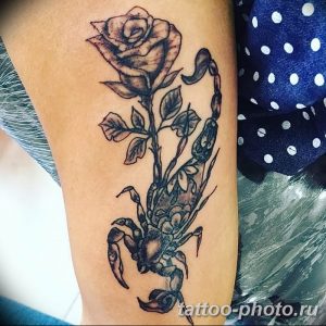 Фото рисунка скорпион 24.11.2018 №053 - photo tattoo scorpion - tattoo-photo.ru