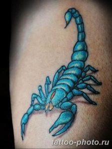 Фото рисунка скорпион 24.11.2018 №054 - photo tattoo scorpion - tattoo-photo.ru