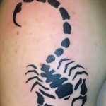 Фото рисунка скорпион 24.11.2018 №055 - photo tattoo scorpion - tattoo-photo.ru