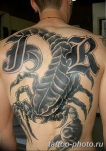 Фото рисунка скорпион 24.11.2018 №056 - photo tattoo scorpion - tattoo-photo.ru