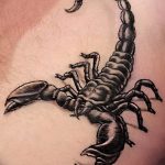 Фото рисунка скорпион 24.11.2018 №057 - photo tattoo scorpion - tattoo-photo.ru