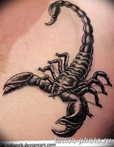 Фото рисунка скорпион 24.11.2018 №057 - photo tattoo scorpion - tattoo-photo.ru
