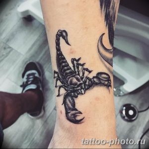Фото рисунка скорпион 24.11.2018 №062 - photo tattoo scorpion - tattoo-photo.ru