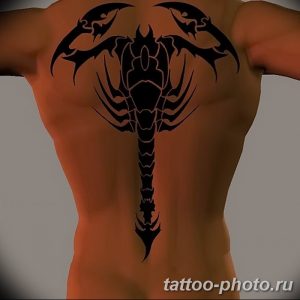Фото рисунка скорпион 24.11.2018 №066 - photo tattoo scorpion - tattoo-photo.ru