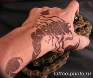 Фото рисунка скорпион 24.11.2018 №070 - photo tattoo scorpion - tattoo-photo.ru