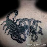 Фото рисунка скорпион 24.11.2018 №071 - photo tattoo scorpion - tattoo-photo.ru