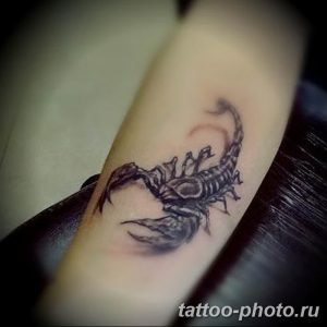 Фото рисунка скорпион 24.11.2018 №074 - photo tattoo scorpion - tattoo-photo.ru