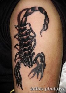 Фото рисунка скорпион 24.11.2018 №076 - photo tattoo scorpion - tattoo-photo.ru