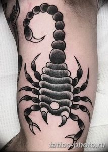 Фото рисунка скорпион 24.11.2018 №078 - photo tattoo scorpion - tattoo-photo.ru