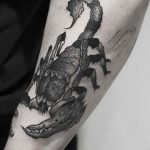 Фото рисунка скорпион 24.11.2018 №083 - photo tattoo scorpion - tattoo-photo.ru