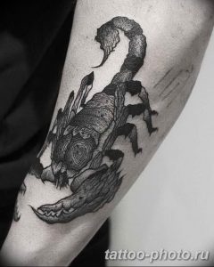 Фото рисунка скорпион 24.11.2018 №083 - photo tattoo scorpion - tattoo-photo.ru