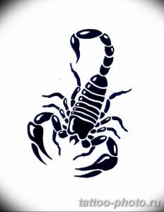 Фото рисунка скорпион 24.11.2018 №084 - photo tattoo scorpion - tattoo-photo.ru
