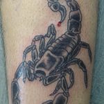 Фото рисунка скорпион 24.11.2018 №086 - photo tattoo scorpion - tattoo-photo.ru