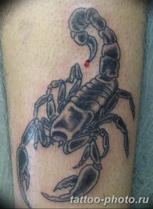 Фото рисунка скорпион 24.11.2018 №086 - photo tattoo scorpion - tattoo-photo.ru