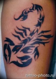 Фото рисунка скорпион 24.11.2018 №087 - photo tattoo scorpion - tattoo-photo.ru