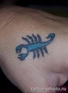 Фото рисунка скорпион 24.11.2018 №089 - photo tattoo scorpion - tattoo-photo.ru