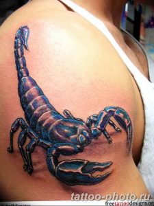 Фото рисунка скорпион 24.11.2018 №095 - photo tattoo scorpion - tattoo-photo.ru