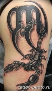 Фото рисунка скорпион 24.11.2018 №099 - photo tattoo scorpion - tattoo-photo.ru