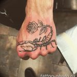 Фото рисунка скорпион 24.11.2018 №100 - photo tattoo scorpion - tattoo-photo.ru