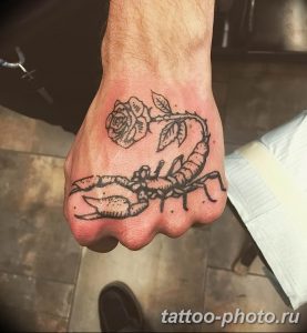 Фото рисунка скорпион 24.11.2018 №100 - photo tattoo scorpion - tattoo-photo.ru