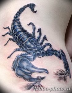 Фото рисунка скорпион 24.11.2018 №101 - photo tattoo scorpion - tattoo-photo.ru