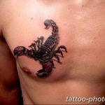 Фото рисунка скорпион 24.11.2018 №102 - photo tattoo scorpion - tattoo-photo.ru