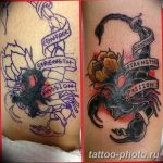 Фото рисунка скорпион 24.11.2018 №104 - photo tattoo scorpion - tattoo-photo.ru