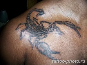 Фото рисунка скорпион 24.11.2018 №105 - photo tattoo scorpion - tattoo-photo.ru