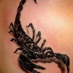 Фото рисунка скорпион 24.11.2018 №106 - photo tattoo scorpion - tattoo-photo.ru