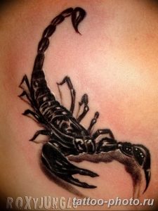 Фото рисунка скорпион 24.11.2018 №106 - photo tattoo scorpion - tattoo-photo.ru