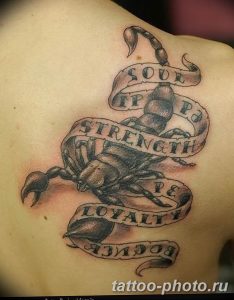 Фото рисунка скорпион 24.11.2018 №107 - photo tattoo scorpion - tattoo-photo.ru