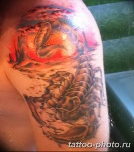 Фото рисунка скорпион 24.11.2018 №111 - photo tattoo scorpion - tattoo-photo.ru
