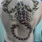 Фото рисунка скорпион 24.11.2018 №114 - photo tattoo scorpion - tattoo-photo.ru