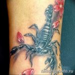 Фото рисунка скорпион 24.11.2018 №115 - photo tattoo scorpion - tattoo-photo.ru