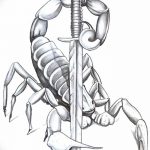 Фото рисунка скорпион 24.11.2018 №117 - photo tattoo scorpion - tattoo-photo.ru