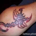 Фото рисунка скорпион 24.11.2018 №119 - photo tattoo scorpion - tattoo-photo.ru