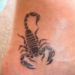 Фото рисунка скорпион 24.11.2018 №123 - photo tattoo scorpion - tattoo-photo.ru