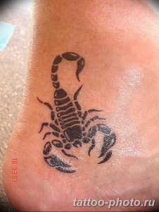 Фото рисунка скорпион 24.11.2018 №123 - photo tattoo scorpion - tattoo-photo.ru