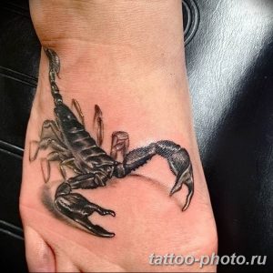 Фото рисунка скорпион 24.11.2018 №125 - photo tattoo scorpion - tattoo-photo.ru