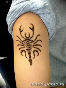 Фото рисунка скорпион 24.11.2018 №127 - photo tattoo scorpion - tattoo-photo.ru
