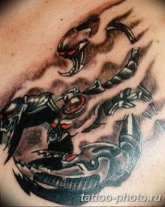 Фото рисунка скорпион 24.11.2018 №128 - photo tattoo scorpion - tattoo-photo.ru