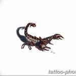 Фото рисунка скорпион 24.11.2018 №129 - photo tattoo scorpion - tattoo-photo.ru