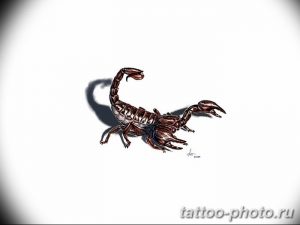 Фото рисунка скорпион 24.11.2018 №129 - photo tattoo scorpion - tattoo-photo.ru
