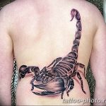 Фото рисунка скорпион 24.11.2018 №131 - photo tattoo scorpion - tattoo-photo.ru