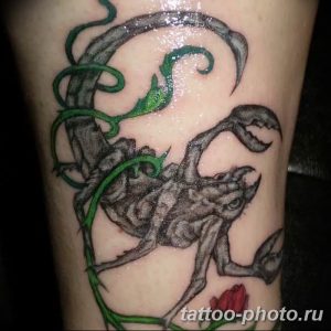 Фото рисунка скорпион 24.11.2018 №133 - photo tattoo scorpion - tattoo-photo.ru