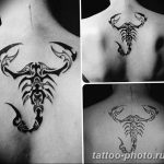Фото рисунка скорпион 24.11.2018 №134 - photo tattoo scorpion - tattoo-photo.ru