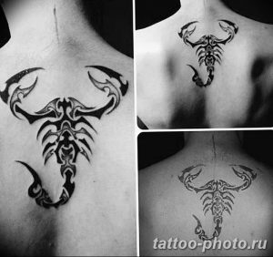 Фото рисунка скорпион 24.11.2018 №134 - photo tattoo scorpion - tattoo-photo.ru